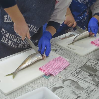 魚を三枚におろす