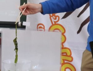 湯煎したわかめ