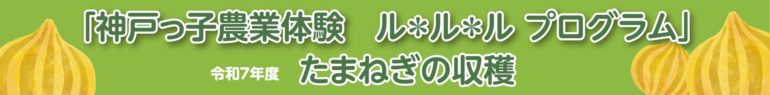 「神戸っ子農業体験 ル＊ル＊ル プログラム」たまねぎの収穫