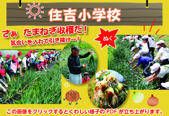 住吉小学校の奮闘記