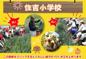住吉小学校の奮闘記