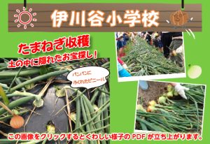 伊川谷小学校の奮闘記